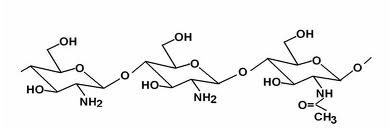 Chitosan molekulalánc 