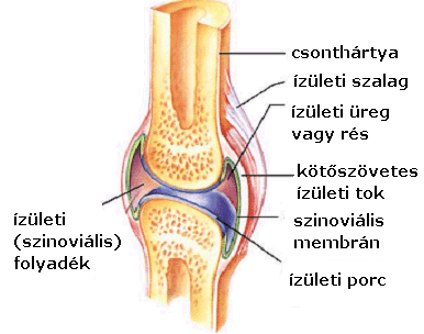 Csonth rtya Patikap dia Csonth rtya Patikap dia