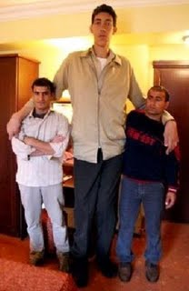 2,47 méter magas, a kelet-török Mardinból származó Sultan Kosen, a világ egyik legmagasabb embere.