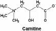 A karnitin kémiai felépítése