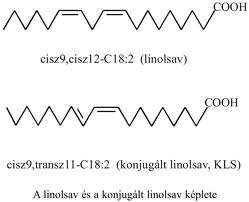 A linolsav és a konjugált linolsav képlete