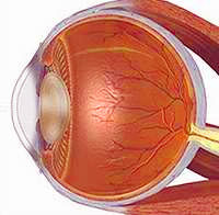 Fényérzékeny szem tünetei és kezelése • endouromed.hu