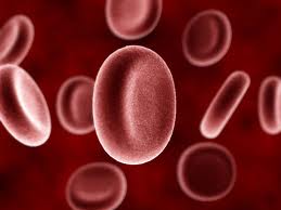 Vörösvérsejt